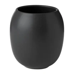 Fjord hammasharjamuki, Black