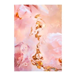 Flora Aquatica 02 juliste, 30x40 cm