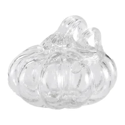 Kurpitsakoriste 8 cm, Selkeä