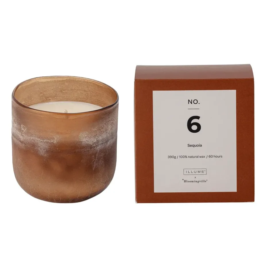 NO. 6 Sequoia -tuoksukynttilä, 390 g + Lahjarasia