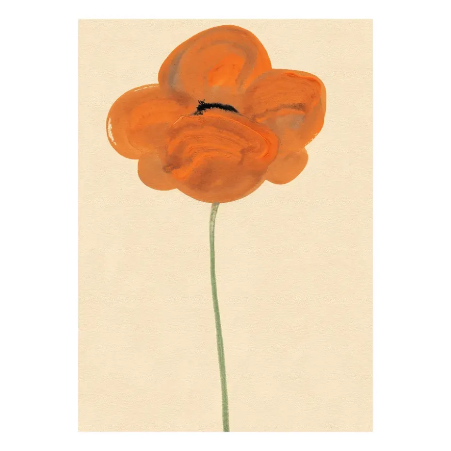 Orange Unikko -juliste, 30 x 40 cm