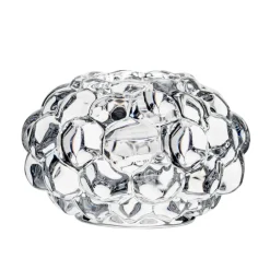 Raspberry kynttilänjalka, keskikokoinen