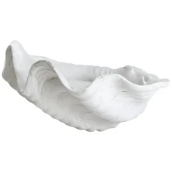 Shell koriste, Large