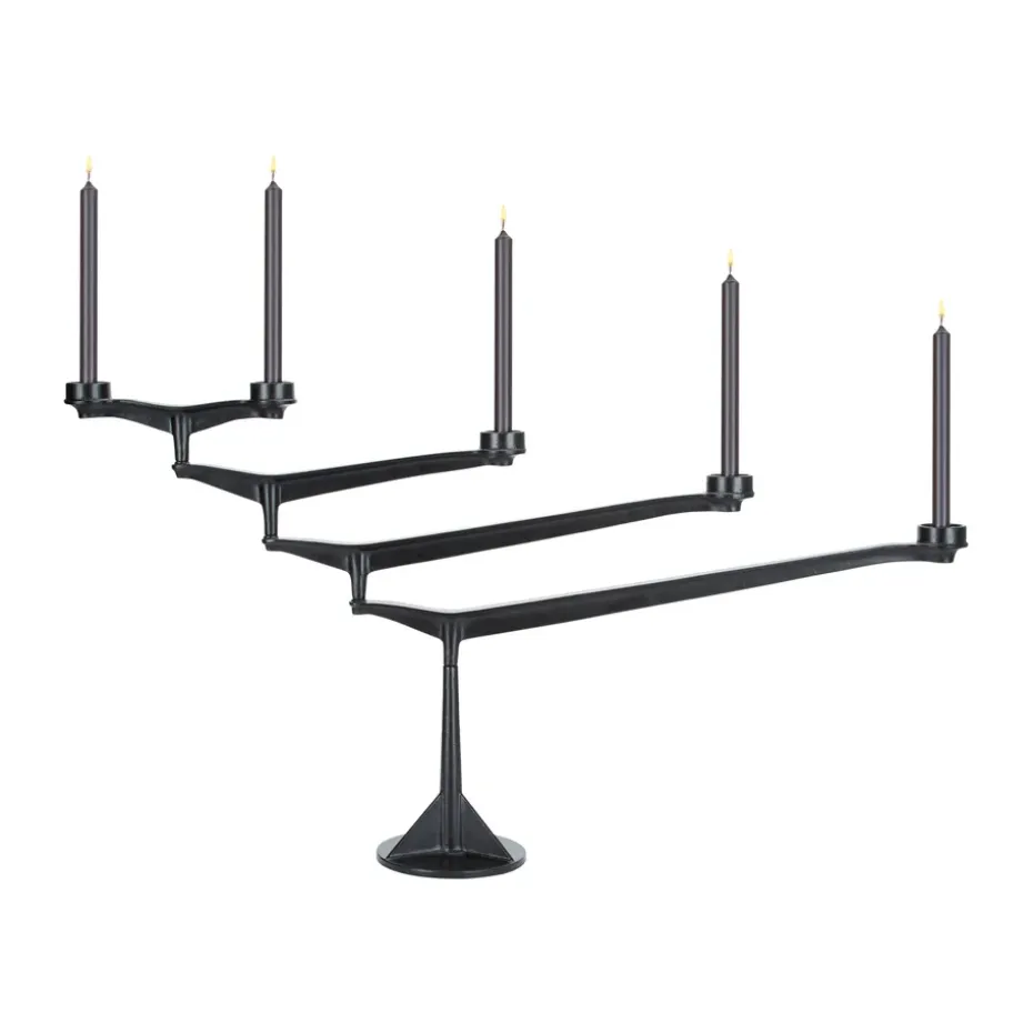 Spin kynttilänjalka, Musta