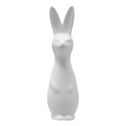 Swedish rabbit large, White