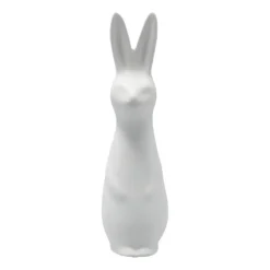Swedish rabbit small, White