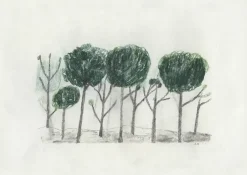 Trees juliste 50x70 cm, Musta- off white