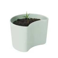 YOUR TREE -ruukku siemenillä, Vihreä (Mänty)