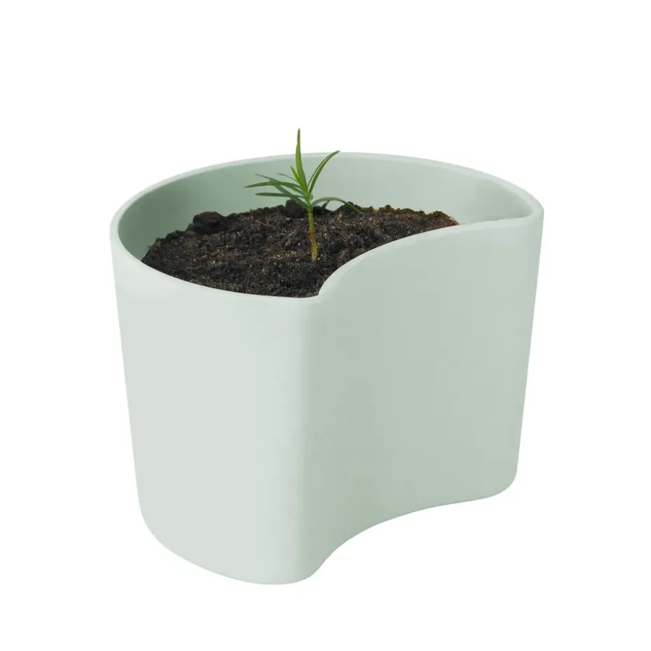 YOUR TREE -ruukku siemenillä, Vihreä (Mänty)